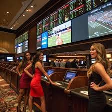 6pg88 Sportsbook